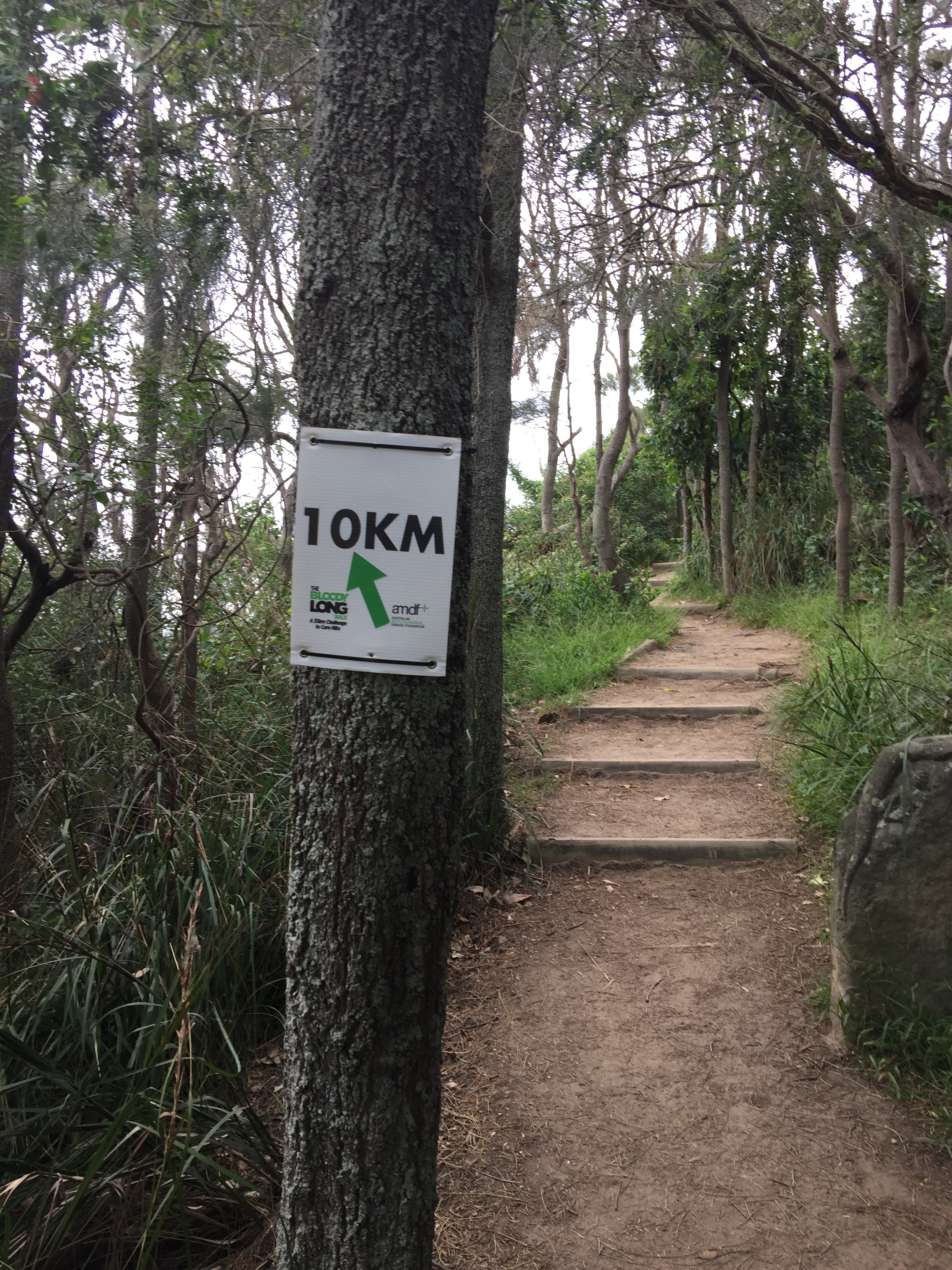 10km mark
