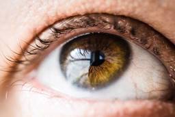 Eye spy a trauma cure