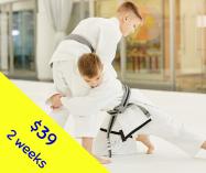 Two Week Trial Offer Nerang Karate 2 _small