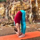 FREE online yoga class for any Newcomer to Flametree Woolner Beginners Yoga 2 _small