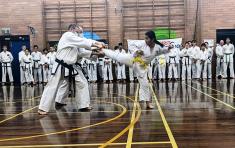 2x FREE/NO OBLIGATION TRIAL LESSONS Kiara Taekwondo Clubs 4 _small