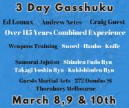 Adults Jujutsu 3 Day training Event Thornbury Kickboxing Classes and Lessons _small