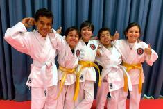 Get 4 Classes + FREE Karate Uniform for $39.95 Forrest Karate Classes and Lessons 2 _small