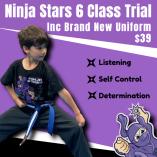 Kids Trial Classes - 6 classes only $19:50 AND we will gift you a free uniform to keep Thornbury Kickboxing Classes and Lessons _small