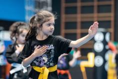 Kids Trial Classes - 6 classes only $19:50 AND we will gift you a free uniform to keep Thornbury Kickboxing Classes and Lessons 3 _small