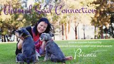 Animal Soul Connection Course Earlwood Animal Therapy _small