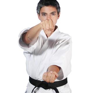 Martial Arts Karate for KIDS Coburg Karate Dojos _small