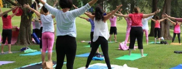Community Yoga in Machattie Park - Bathurst Bathurst Hatha Yoga