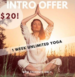 $20 1 Week of Unlimited Yoga New Farm Corporate Yoga