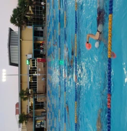 Squad Swimming 1hr coached, freestyle focus. Northcote Fitness Personal Trainers