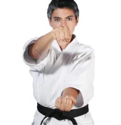 Martial Arts Karate for KIDS Coburg Karate Dojos